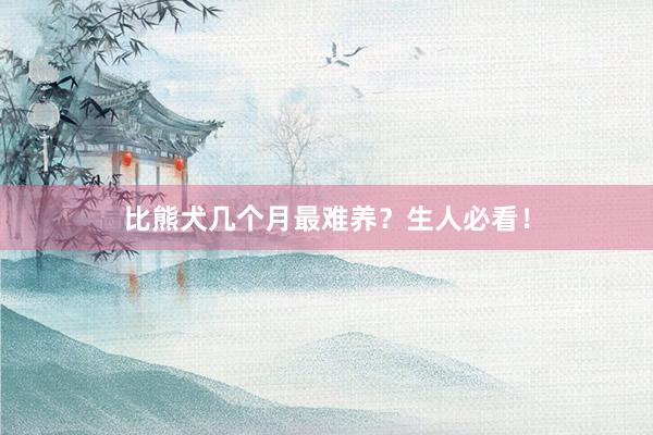 比熊犬几个月最难养？生人必看！